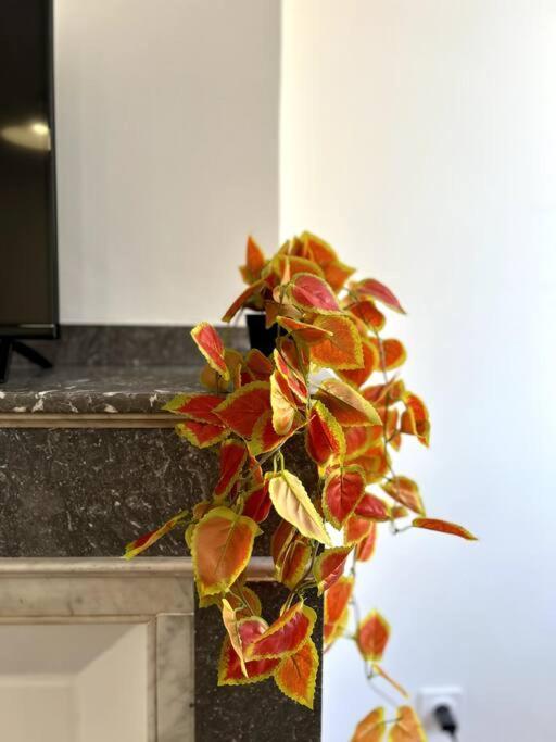 Le Toulousain 302 - Appartement Cosy En Hypercentre - Quartier Jeanne-D'Arc Toulouse Bagian luar foto